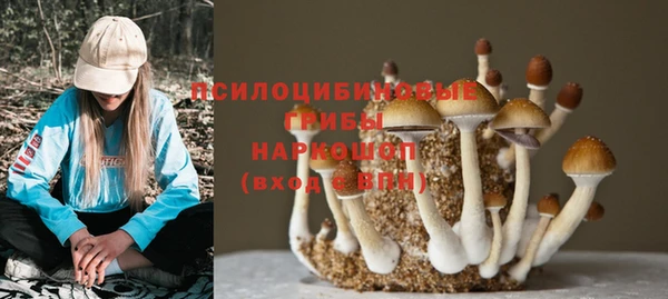 прущая мука Балахна