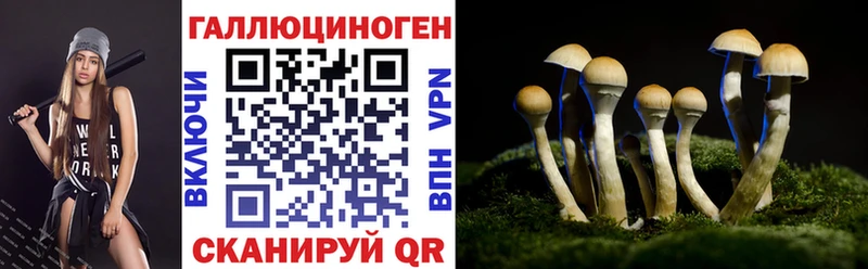 Галлюциногенные грибы Psilocybine cubensis  Спасск-Дальний 
